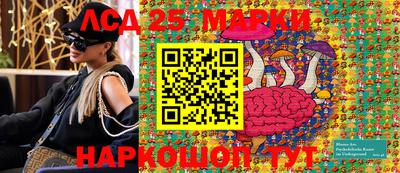 индика Жуковский
