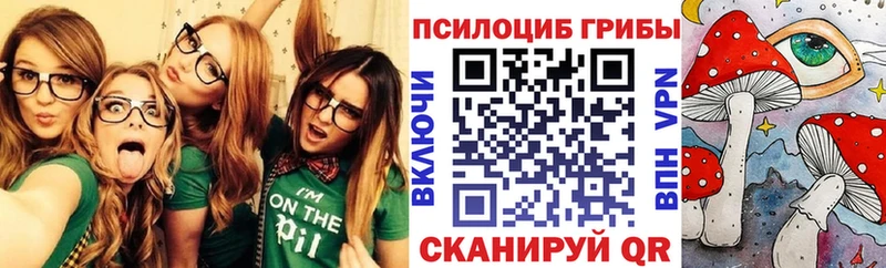 где продают наркотики  omg   Псилоцибиновые грибы Psilocybe  Назарово 