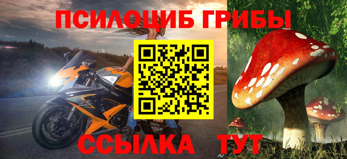 Галлюциногенные грибы мицелий Назарово